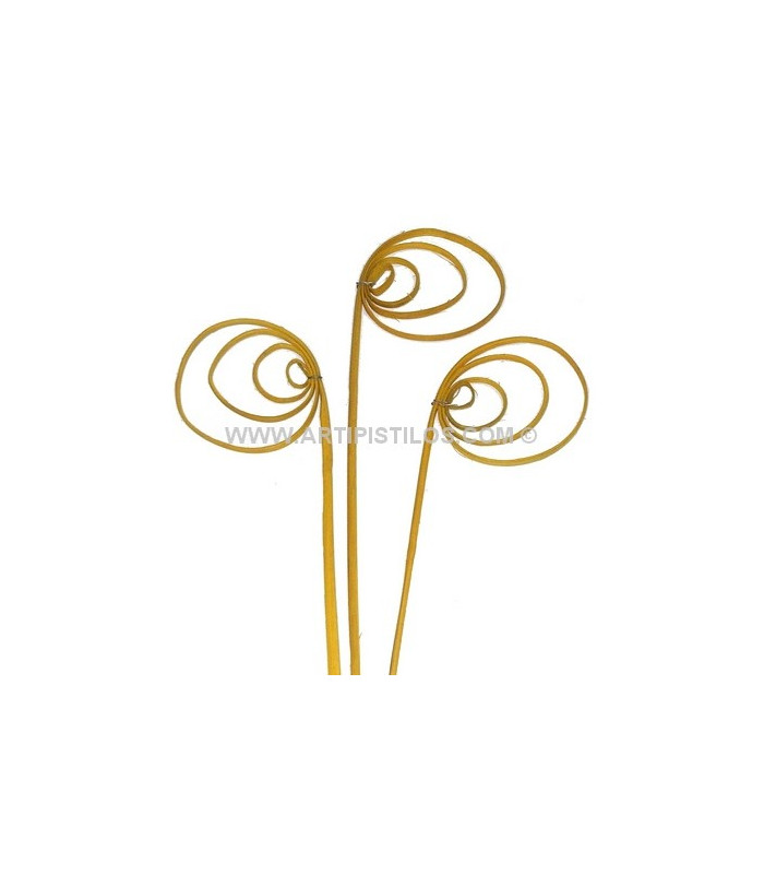 CANE CIRCLE