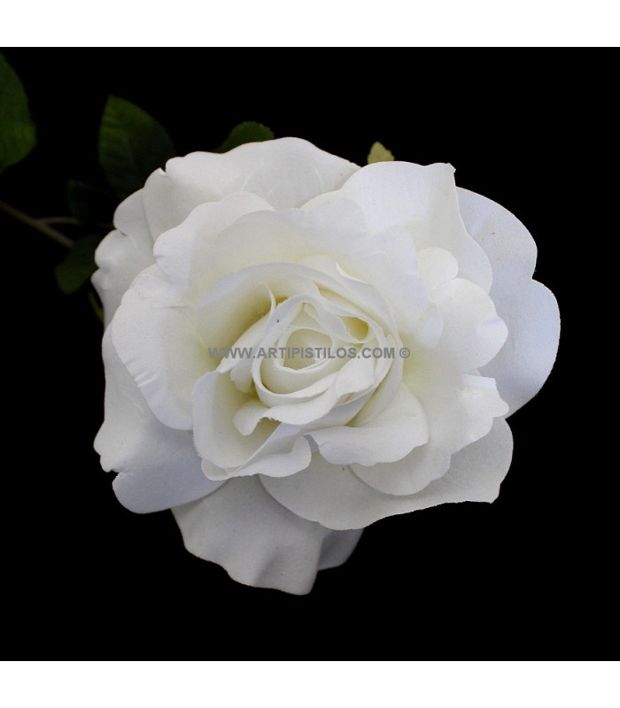 ROSA DE VELUDO 12 X 6 CMS.
