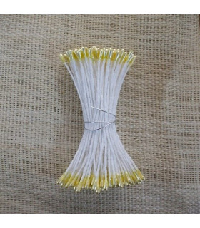 PEARLIZED STAMEN 2 SIDES