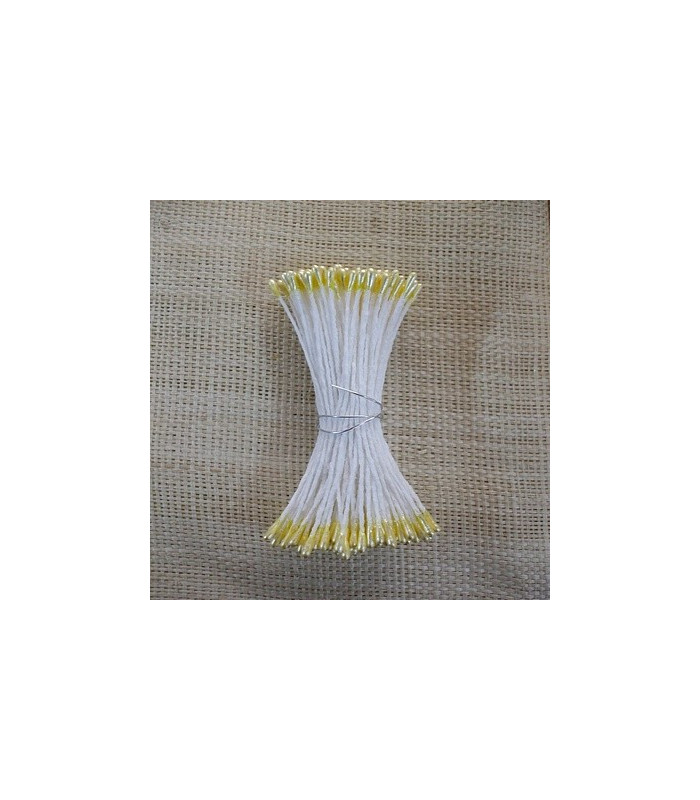 PEARLIZED STAMEN 2 SIDES