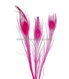 Pluma De Pavo Real Quemado Teñido Fucsia 25/28 Cms. De Alto - colores para