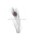 PLUMA DE PAVO REAL QUEMADO TEÑIDO