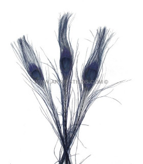 Pluma De Pavo Real Quemado Teñido Azul Marino - Navy 25/28 Cms. De Alto - colores para