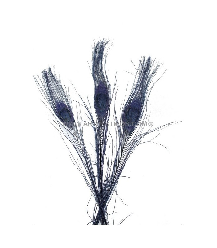 PLUMA DE PAVO REAL QUEMADO TEÑIDO