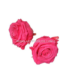 ROSA PRESERVADA 6 CMS.