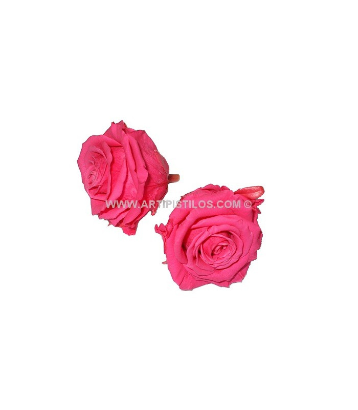 ROSA PRESERVADA 6 CMS.