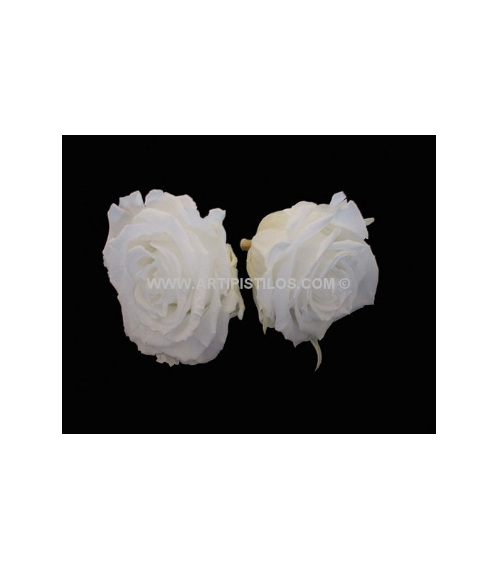 ROSA PRESERVADA 6 CMS.