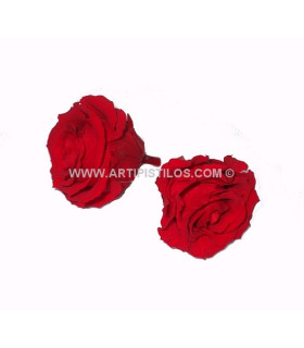 PRESERVED ROSE 6 CMS.