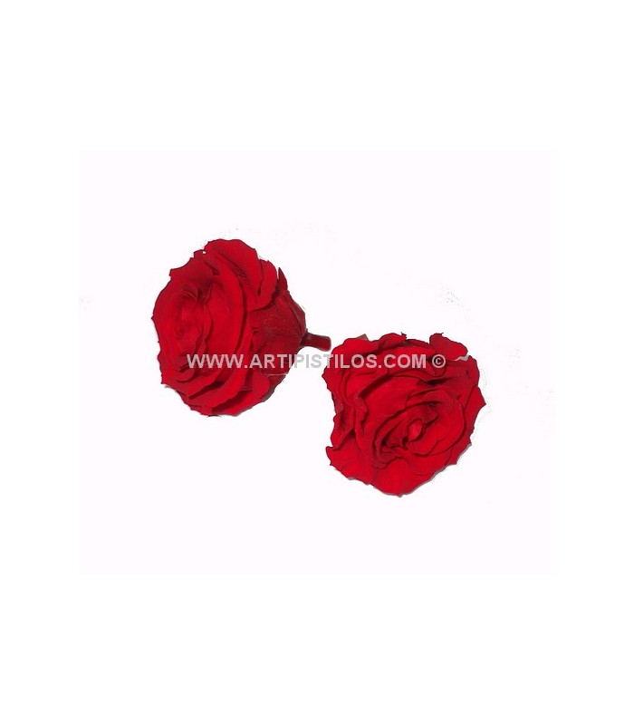 PRESERVED ROSE 6 CMS.