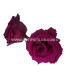 PRESERVED ROSE 6 CMS.