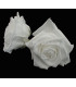 PRESERVED BIG ROSE 9 CMS.