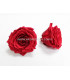 PRESERVED BIG ROSE 9 CMS.