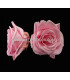 PRESERVED BIG ROSE 9 CMS.