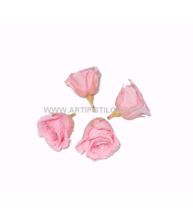 ROSA PETIT PRESERVADA 2 X 2 CMS.