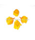 PRESERVED PETIT ROSE 2 X 2 CMS.