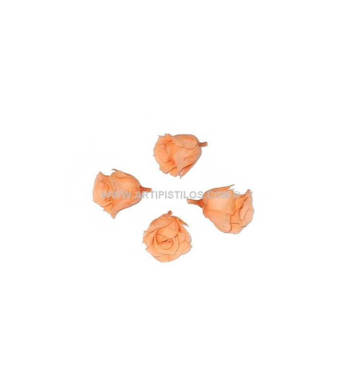 PRESERVED PETIT ROSE 2 X 2 CMS.