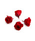 PRESERVED PETIT ROSE 2 X 2 CMS.