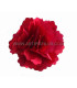 FLOR CETIM