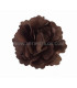 SATIN FLOWER