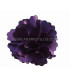 SATIN FLOWER