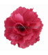 SATIN FLOWER