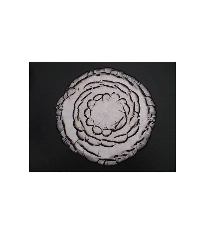 ORNAMENTO DE PENAS