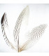 PLUMA DE FAISÁN PLATEADO 30 - 35 CMS.