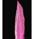 PLUMA DE FAISÁN PLATEADO 30 - 35 CMS.