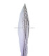 PLUMA DE FAISÁN PLATEADO 30 - 35 CMS.