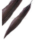 PLUMA DE FAISÁN PLATEADO 30 - 35 CMS.