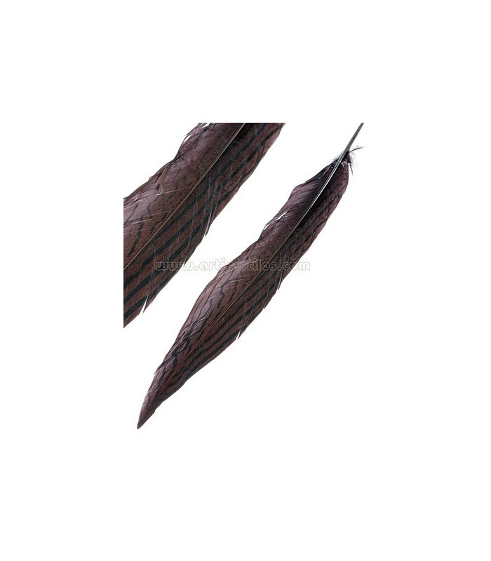 PLUMA DE FAISÁN PLATEADO 30 - 35 CMS.