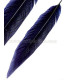 PLUMA DE FAISÁN PLATEADO 30 - 35 CMS.