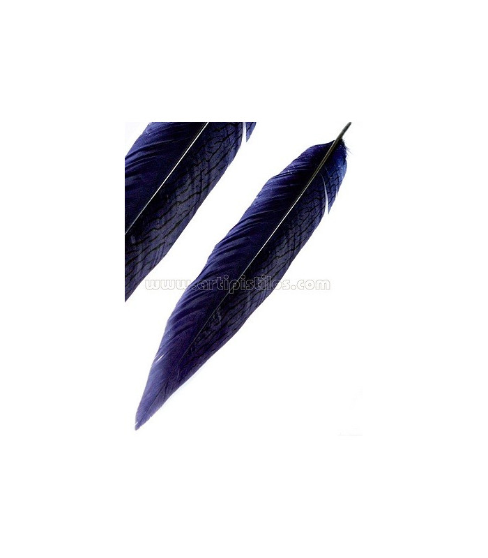 PLUMA DE FAISÁN PLATEADO 30 - 35 CMS.