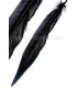 PLUMA DE FAISÁN PLATEADO 30 - 35 CMS.