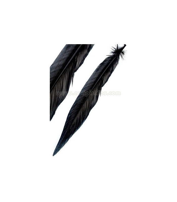 SILVER PHEASANT FEATHER 30 - 35 CMS.