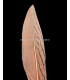 PENA DE FAISÃO PRATEADO 30 - 35 CMS.
