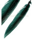PLUMA DE FAISÁN PLATEADO 30 - 35 CMS.