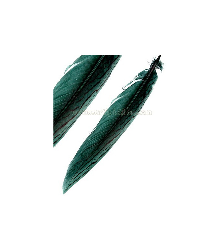 PLUMA DE FAISÁN PLATEADO 30 - 35 CMS.