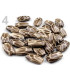 FORNITURA OVAL ESTAMPADA 18 X 30 MM.