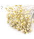 STAMENTS BUNDLE