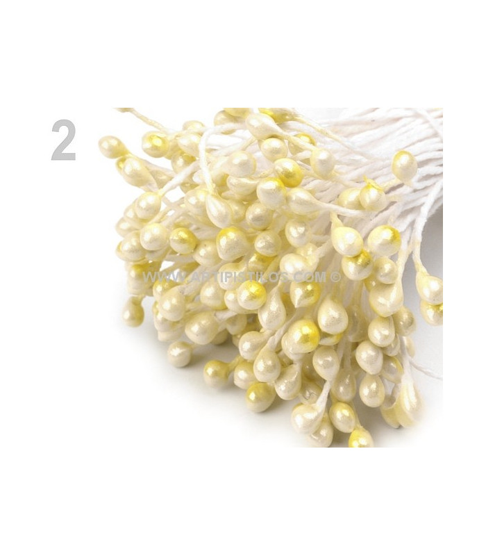 STAMENTS BUNDLE
