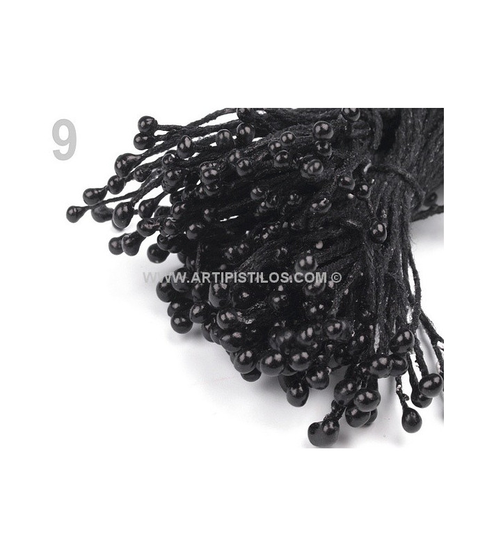 STAMENTS BUNDLE