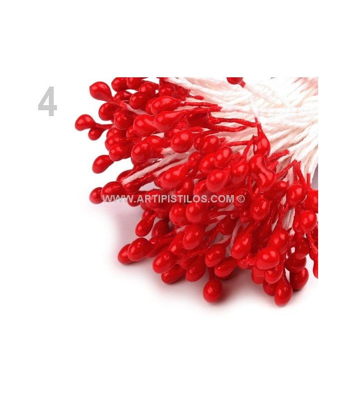 STAMENTS BUNDLE