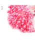 STAMENTS BUNDLE