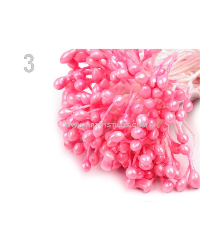 STAMENTS BUNDLE