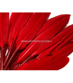 BOLSA 20 PENAS DE PATO