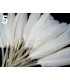 BOLSA 20 PLUMAS DE PATO 9-14 CMS.