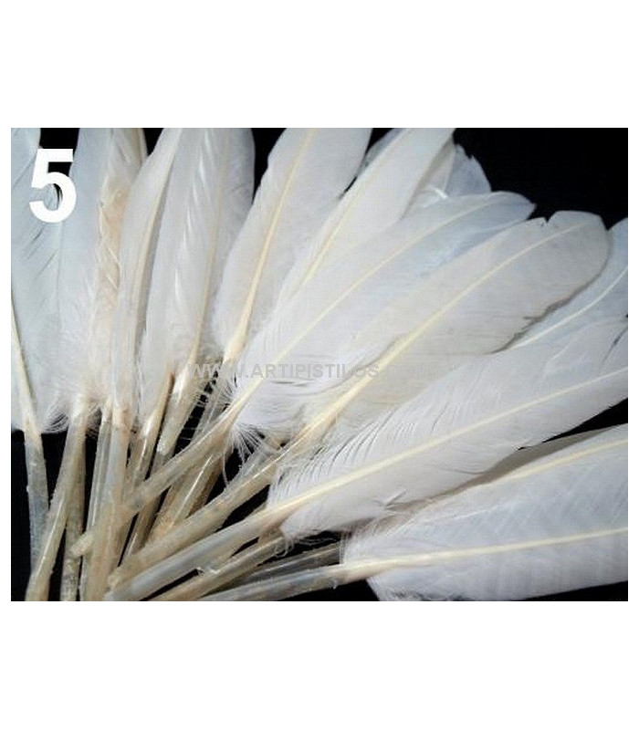 BOLSA 20 PLUMAS DE PATO 9-14 CMS.