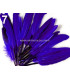 BOLSA 20 PLUMAS DE PATO 9-14 CMS.