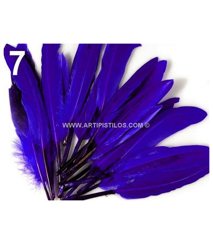 BOLSA 20 PLUMAS DE PATO 9-14 CMS.